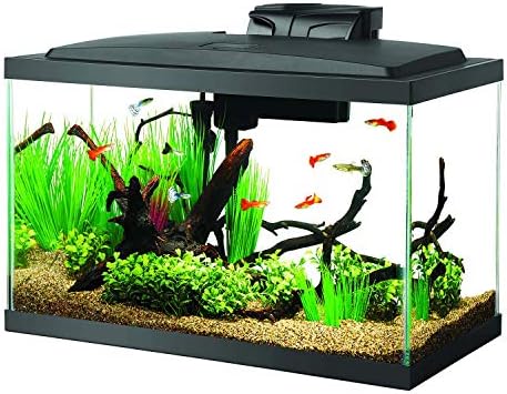 Aqueon Aquarium Fish Tank Starter Kit with LED Lighting 10 Gallon Fish Tank
