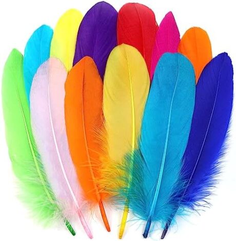 Ballinger Colorful Goose Feathers for Crafts - 120Pcs 6-8inch Craft Colored Feathers for DIY Crafts,Angel Wings,Dream Catcher and Wedding Party Decor