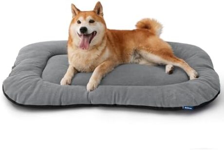 Bedsure Washable Dog Crate Pad for Large Dogs, Anti-Slip Puppy Kennel Dog Bed for Crate - Ultra Soft Fleece Flat Thin Pet Mat (Not Chew Proof), Light Grey 35"x22"