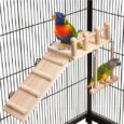 Bird-Perches-Platform-Swing-with-Climbing-Ladder-Parakeet-Cage-Accessories.jpg