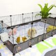 CHEGRON-Guinea-Pig-Cages-8-Sq-Ft-Expandable-CC-Cage.jpg