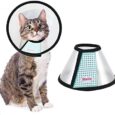 Cat-Cone-Adjustable-Recovery-Pet-Cone-Elizabethan-Collar-for-Cats.jpg
