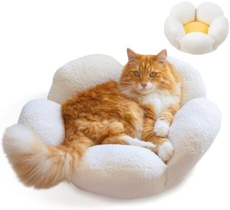 Catstages Purrfect Petals Flower Cat Bed with Plush Support and Raised Sides, White, 21 in - Secure, Soft, Comfortable Bed for Cats and Kittens