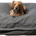 Dog-Bed-Covers-30L-×-20W-×-3H-Inch-Washable.jpg