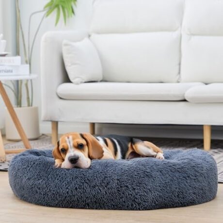 Donut Dog Bed, Small Dog Beds, Cat Bed, Washable Round Bed for Small Dogs, Cat, Indoor (Navy Grey, 20", XS)