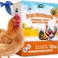 Dried-Mealworms-10LB-Non-GMO-Meal-Worms-for-Chickens.jpg