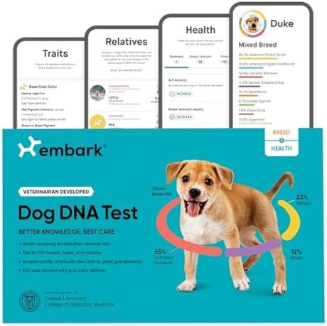 Embark Breed & Health Kit - Dog DNA Test - Discover Breed, Ancestry, Relative Finder, Genetic Health, Traits, Allergy Risk Scores