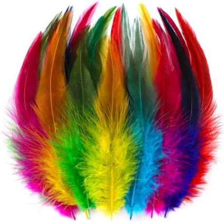 Holmgren Colorful Craft Rooster Feathers - 200pcs 5-7inch Colored Feathers Bulk for Kindergarten DIY Crafts, Art Projects and Party Decorations (Colorful)