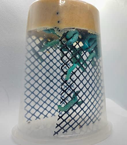 Hornworm Cup for Bearded Dragons (24-30 Count Live with Enough Food to Grow Them Out)