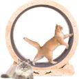 KKHAN-Cat-Wheel-Exerciser-Cat-Exercise-Wheel-Indoor-with-Locking.jpg