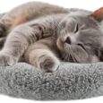 LESYPET-Cat-Bed-for-Indoor-Cats-Small-Pet-Bed-Curl.jpg