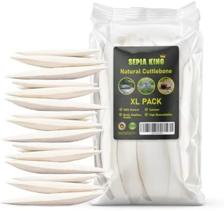 Large - Cuttlebone for Birds, Tortoises, Snails, Reptiles 5.5-7" - 8.8oz - 100% Natural Calcium Supplement, Food and Toys for Parakeets, Turtles