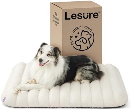 Lesure Cute Orthopedic Dog Bed Large Sized Dog, Waterproof Chic Flat Pet Beds with Removable Washable Cover, Fuzzy Thick Egg Crate Foam Pet Mat for Indoor Use (36" x 27", Cream)