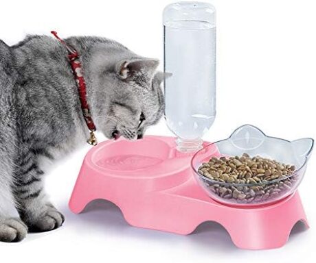 MILIFUN Double Dog Cat Bowls - Pets Water and Food Bowl Set, 15°Tilted Water and Food Bowl Set with Automatic Waterer Bottle for Small or Medium Size Dogs Cats