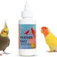 Morning-Bird-Feather-Glo-2-Oz-–-Palm-Oil-Supplement.jpg