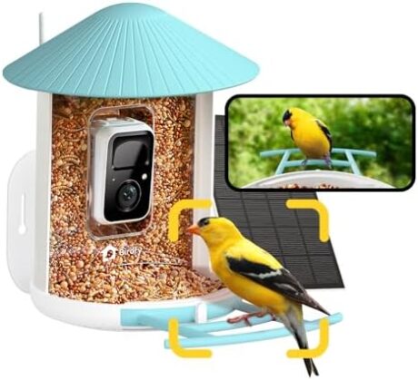 NETVUE by Birdfy Smart Bird Feeder with Camera – AI Identifies Birds Species 2MP Night Vision & App Alerts, 2.4Ghz Wi-Fi Connect IP65 Weatherproof Bird Camera-Gift for Backyard BirdWatchers, Blue
