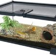PINVNBY-Reptile-Glass-Terrarium-Ball-Python-Tank-12x8x6-Micro-Habitat.jpg