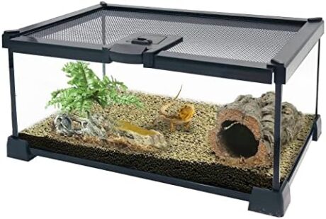 PINVNBY Reptile Glass Terrarium Ball Python Tank 12"x8"x6" Micro Habitat Terrarium Enclosure Amphibians Tank Cage Full View Visually Appealing for Small Reptiles,Spiders,Leopard Gecko