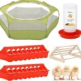 Pawaboo-5-in-1-Chicken-Brooder-Box-for-Chick-Starter-Kit-Includes.jpg