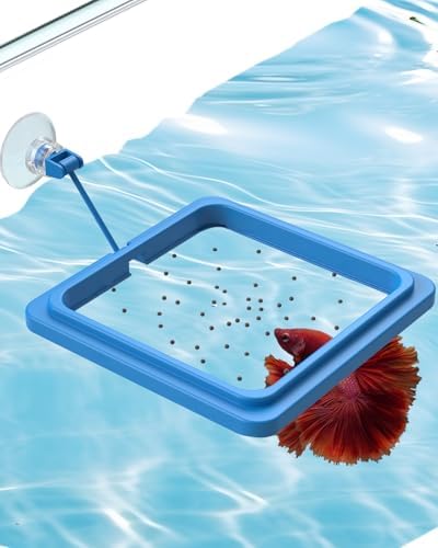 Pawfly Fish Feeding Ring for Fish Tank Aquarium Feeding Ring with Suction Cup Square Floating Food Feeder Small Feeder Circle for Betta Goldfish Guppy & Turtle