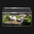 Reptile-PC-TerrariumSpider-Tank-Starter-KitLeopard-Gecko-ContainerTarantula-CageHermit-Crab.jpg