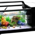 Small-Fish-Tank-with-Filter-and-Light-12-Gallon.jpg