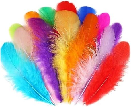 Soarer Colorful Craft Rooster Feathers - 300pcs 3-5inch Colored Feathers Bulk for Kindergarten DIY Crafts,Wedding Home Party Decorations,Dream Catcher Supplies(Rooster Colorful)
