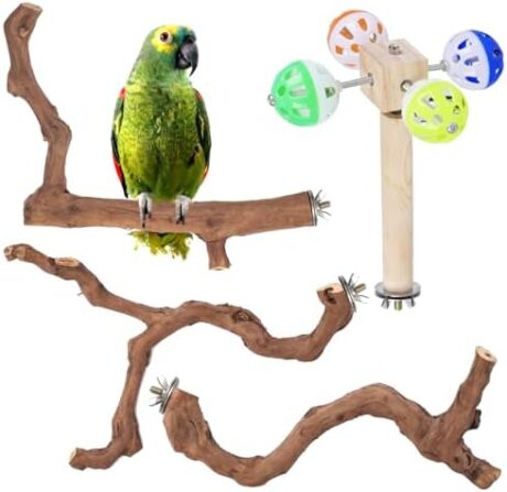 4-Piece Bird Perch Set with Rotating Ball Stand - Natural Wood Bird Gym & Playground for Parrots, Cockatiels, Budgies