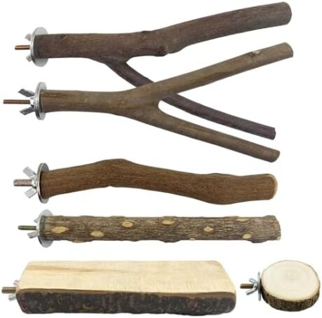 6-Pack Natural Wood Bird Perch Branches, Parrot Perch Toys, Cage Stands for Pet Birds, Bird Cage Accessories for Budgies, Cockatiels, Lovebirds, Finches and Other Small to Medium Birds