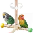 Bird-Stand-Perch-Toy-Interactive-Spinning-Parakeet-Toys-Wooden-Exercise.jpg