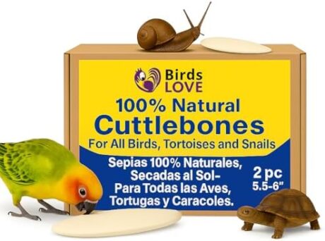 Birds LOVE Natural Cuttlebone | 100% Pure Sun-Dried Calcium Supplement for Birds, Tortoises, Snails & Crabs | Supports Beak & Shell Health | Easy to Chew | 2 Pack, Size 5.5 to 6"