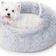 Calming-Dog-Bed-Cat-Bed-for-Indoor-Cats-Medium.jpg