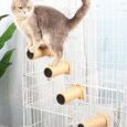 Cat-Climbing-Steps-Scratching-Tree-Cage-Shelf-Wooden-Ladder.jpg