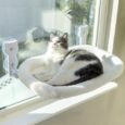 Cat-Window-Perch-Cat-Window-Hammock-Soft-and-Comfortable-Window.jpg