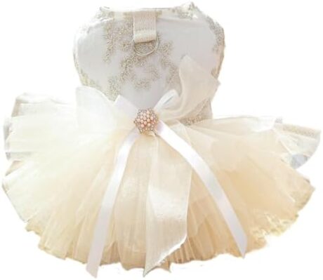 Champagne Dog Dresses for Small Dogs Girl with Leash Ring & Bow Decor,Luxury Dog Wedding Dress with Multi-Layer Princess Tutu Skirt, Embroidered Cat Flower Dress(Small)