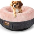 ClevaHome-Cozy-Cat-Bed-Ultra-Soft-Plush-Pet-Bed-with.jpg