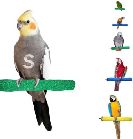 Comfort Grip Safety Perch for Bird Cages - Pedicure Perch for Birds to Keep Nails and Beaks in Top Condition - Safe Easy to Install Bird Cage Accessories - Small 6.5"
