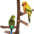 CozyCabin-Natural-Bird-Perch-Stand-Hanging-Multi-Branch-Grapevine-Parrot.jpg