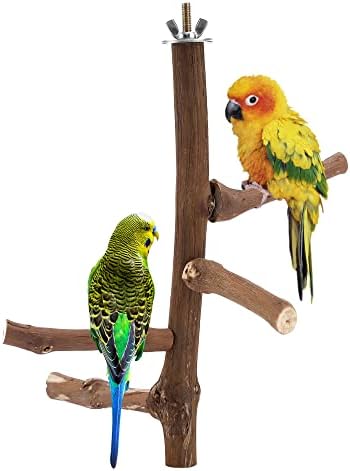 CozyCabin Natural Bird Perch Stand, Hanging Multi Branch Grapevine Parrot Perch Bird Cage Toys for Small Budgies Conure Parrot Parakeets Cockatiels Lovebirds (Branch)
