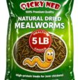 Dried-Mealworms-100-Non-GMO-5-Lb-Mealworms-for-Birds.jpg