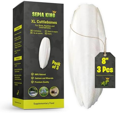 Extra Large - 100% Natural Calcium Supplement - Premium Cuttlebone Perfect for Birds, Tortoises, Snails, Reptiles - Pack of 3