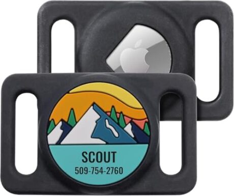 GoTags Engraved Airtag Dog Collar Holder, Personalized Airtag Case for Pet Collar, Up to 2 Lines of Custom Text, Slide On Tag for GPS Dog Tracker, Track Dogs with Apple iPhone, Large