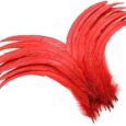 Holmgren-Red-Long-Rooster-Feathers-60pcs-12-14inch-Natural-Large.jpg