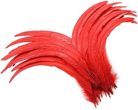 Holmgren Red Long Rooster Feathers - 60pcs 12-14inch Natural Large Rooster Tail Feathers Bulk for DIY Crafts Shawl Costume and Holiday Themed Party Decoration (Red)