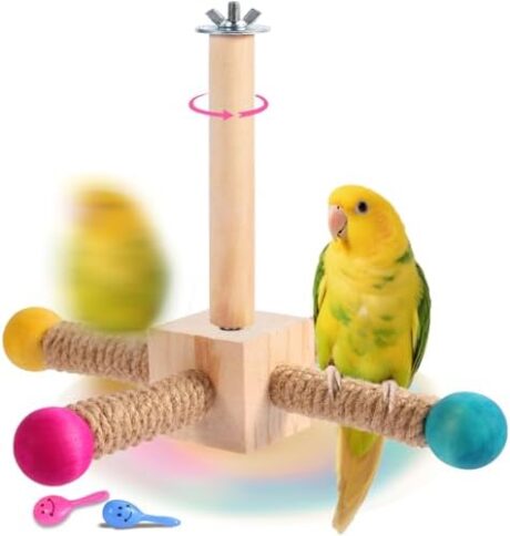 Kyouki Bird Perch Toy - Suitable for Small & Medium Parrots: Conures, Cockatiels, Lovebirds, Parakeets, Quakers, Caiques, Pionus | 360° Spinning Stand (Primary Colors, Medium Size)