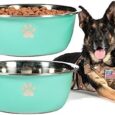 Large-Dog-Water-Bowl-2-Pack-075-Gallon-96oz-Stainless.jpg