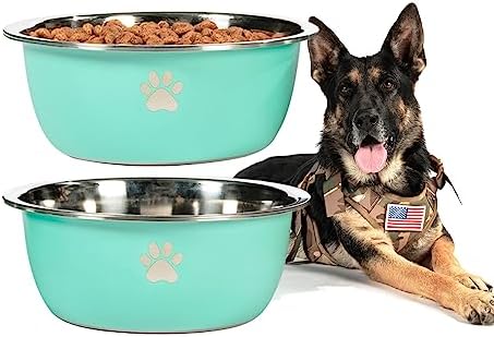 Large Dog Water Bowl 2 Pack, 0.75 Gallon 96oz Stainless Steel Metal Dog Food Bowl for Medium Large Dogs, Aqua