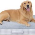MIHIKK-Washable-Orthopedic-Dog-Bed-for-Large-Dogs-XL-Waterproof.jpg