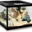 Mini-Reptile-Glass-Tank-8-8-6inch-Terrarium.jpg