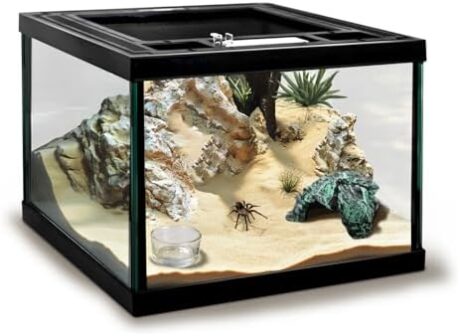 Mini Reptile Glass Tank 8 * 8 * 6inch Terrarium for Start with Top Ventilation for Turtle,Spider,Hermit Crab,Geock,Frog AMD Beard Dragon